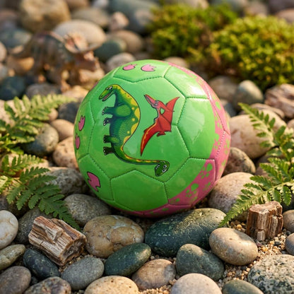 Kids Dinosaur Football Size 2 – Soft Outdoor & Indoor Soccer Ball for Boys & Girls | Random Colour Play Ball