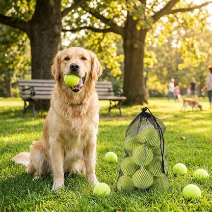 24PC Tennis Balls High Bounce Multi-Use Sports Balls for Tennis, Cricket & Training Pet Play Balls with Mesh Carry Bag